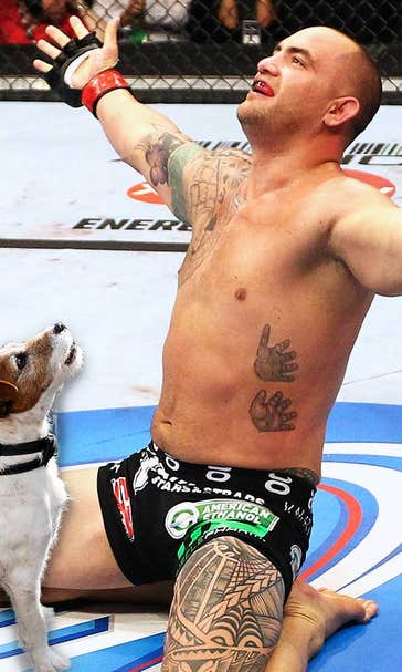 The day Travis Browne was beaten up by a 6-inch-tall Jack Russell Terrier
